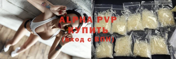 амф Козловка