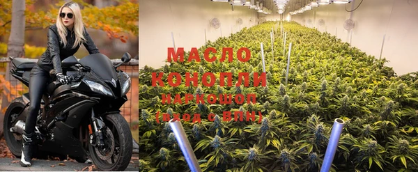стаф Козельск
