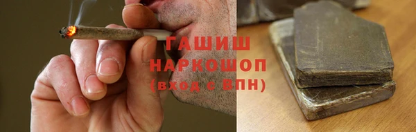 стаф Козельск