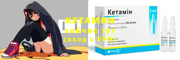амф Козловка