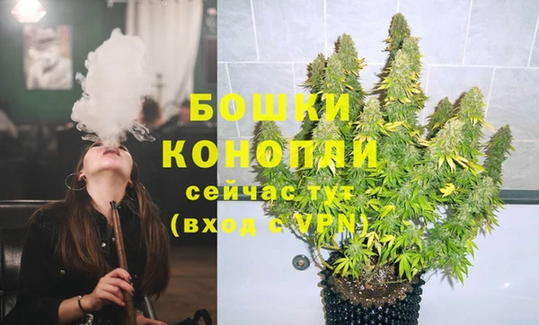 амф Козловка