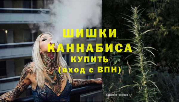 стаф Козельск