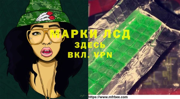 стаф Козельск