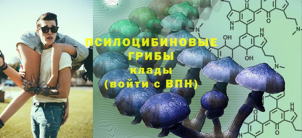 амф Козловка