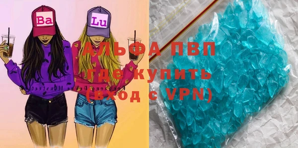 амф Козловка