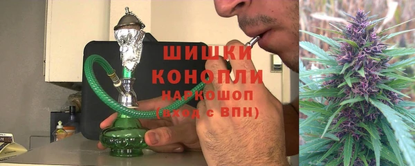 стаф Козельск