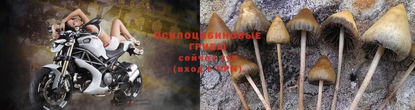 каннабис Кодинск